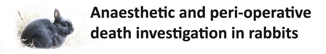 Anaesthetic Death Investigation in Rabbits